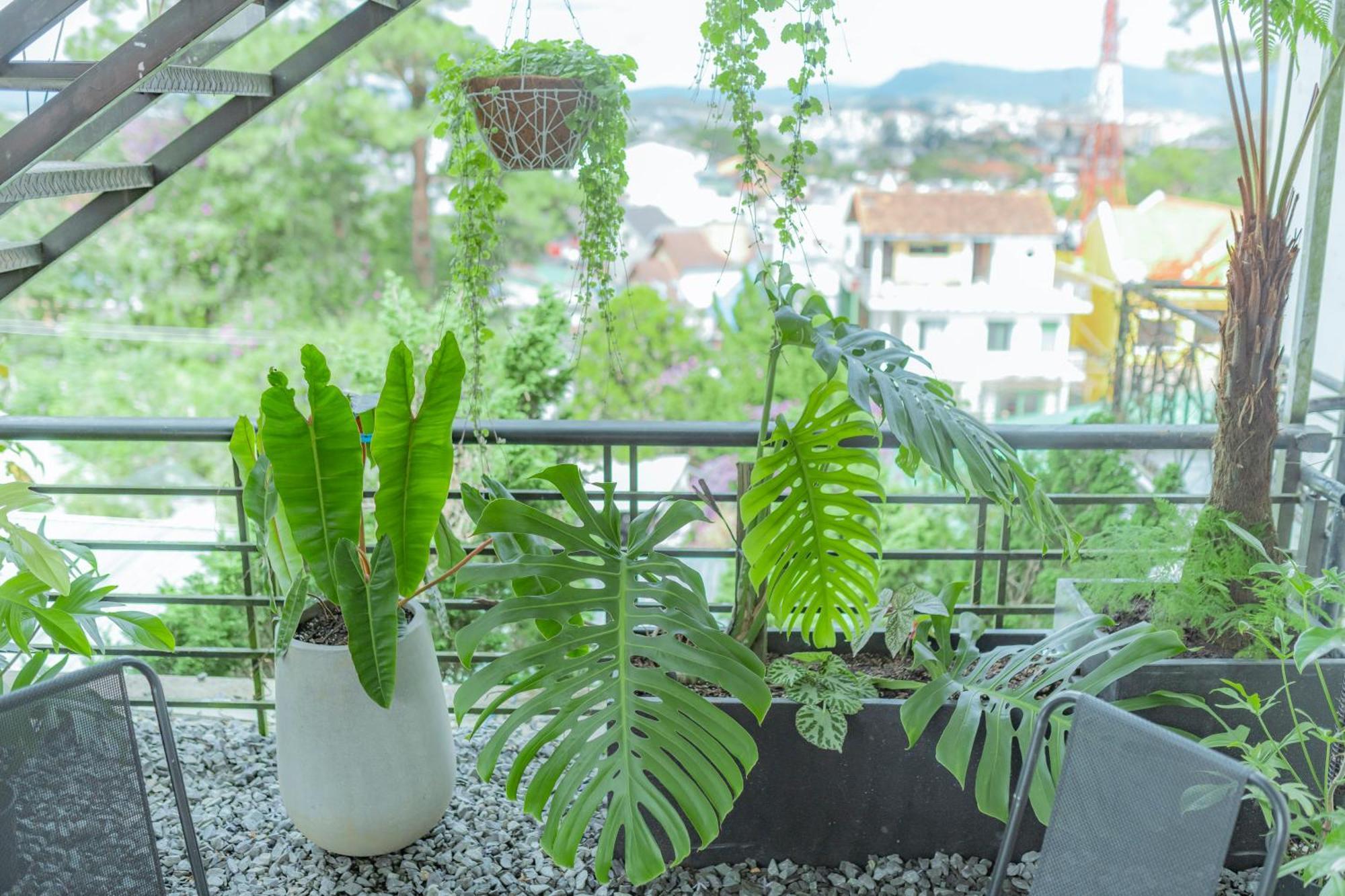 Hilly Hostel Dalat Bagian luar foto